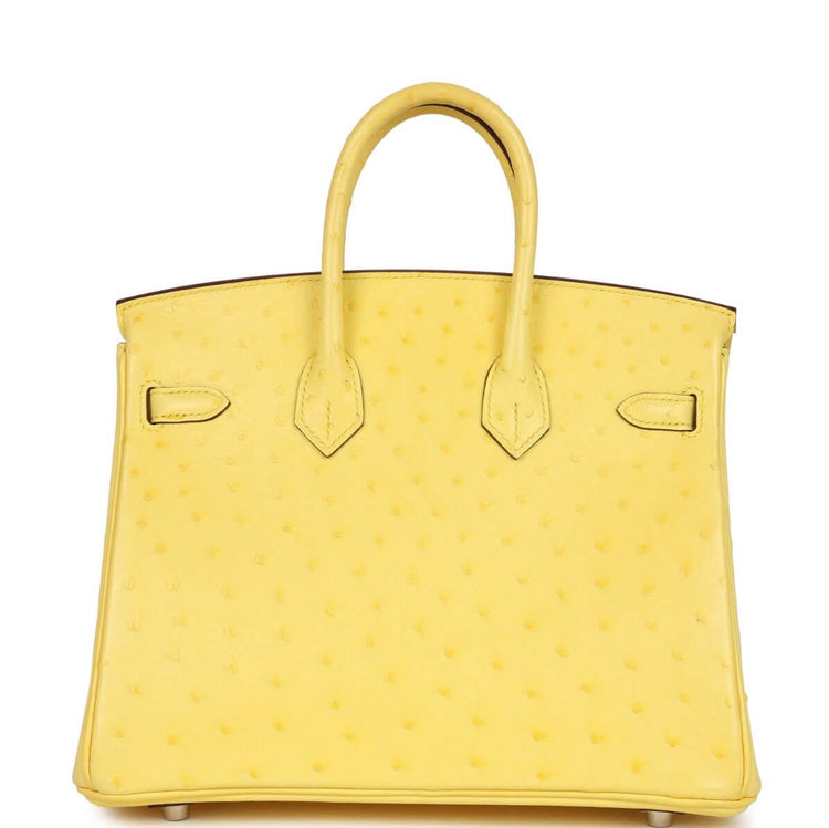 Hermes Birkin 25 ostrich leather bag